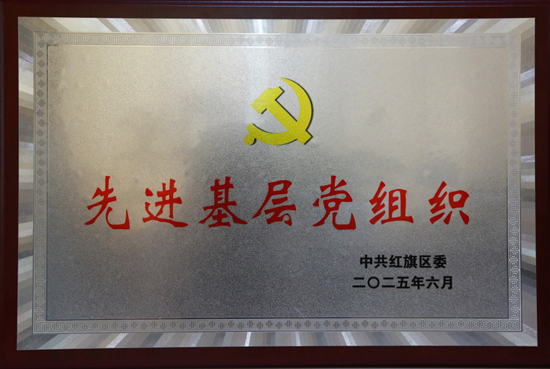 K8凯发国际公司党委荣获2025年度新乡市红旗区“先进基层党组织”荣誉称号